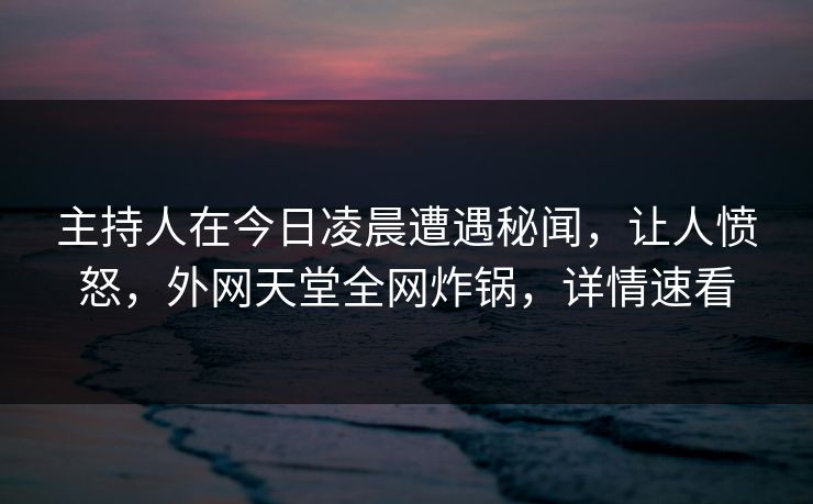 主持人在今日凌晨遭遇秘闻，让人愤怒，外网天堂全网炸锅，详情速看