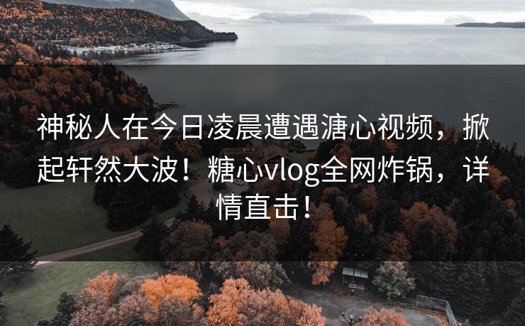 神秘人在今日凌晨遭遇溏心视频，掀起轩然大波！糖心vlog全网炸锅，详情直击！