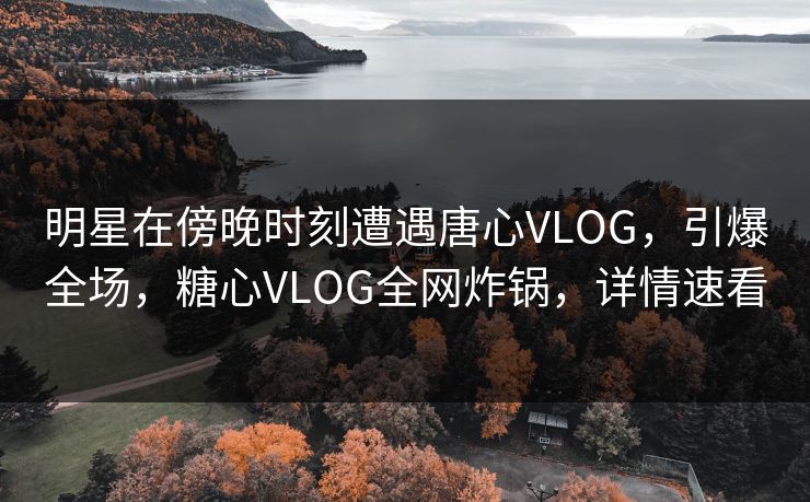 明星在傍晚时刻遭遇唐心VLOG，引爆全场，糖心VLOG全网炸锅，详情速看